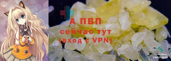 индика Вязники