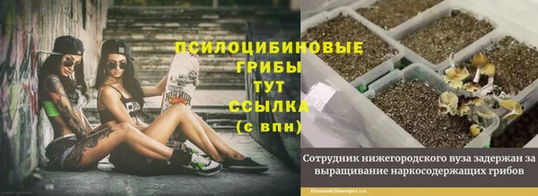 амф Кукмор