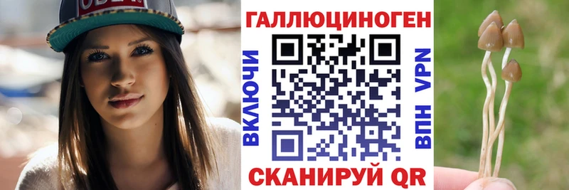 кракен ссылки Новый Оскол Псилоцибиновые грибы прущие грибы
